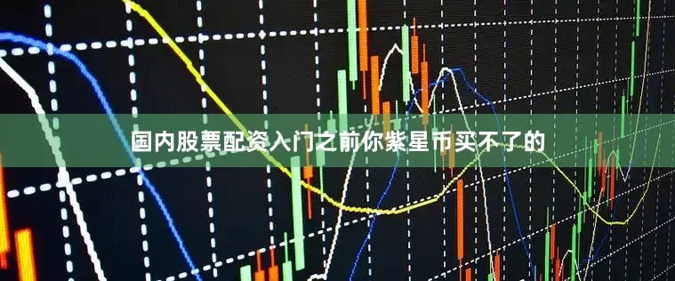 国内股票配资入门之前你紫星币买不了的