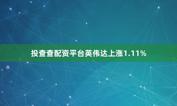 投查查配资平台英伟达上涨1.11%