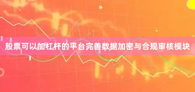 股票可以加杠杆的平台完善数据加密与合规审核模块