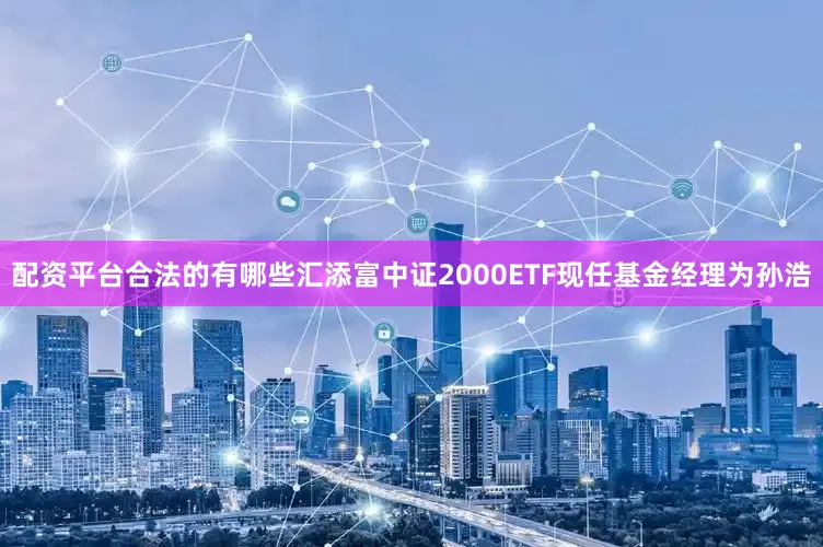 配资平台合法的有哪些汇添富中证2000ETF现任基金经理为孙浩