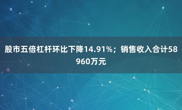 股市五倍杠杆环比下降14.91%；销售收入合计58960万元