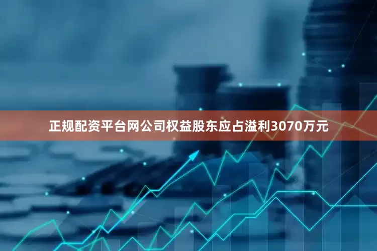 正规配资平台网公司权益股东应占溢利3070万元
