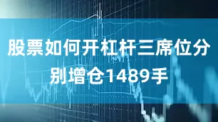 股票如何开杠杆三席位分别增仓1489手